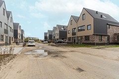 06-Moerasorchidee 13 - Lelystad.jpg